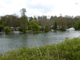 The houses of Caversham across the river.