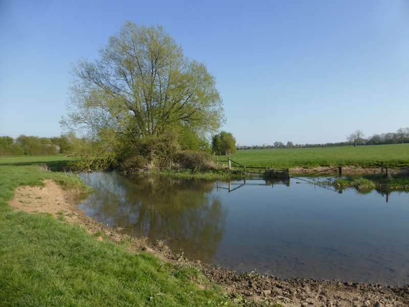 1 The Source To Cricklade Tamesis Fluvius The Thames Path